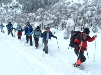 Trekking con Raquetas de Nieves