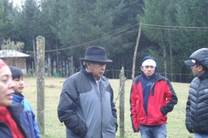 Bosque Andino